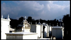 IMG_1030_2